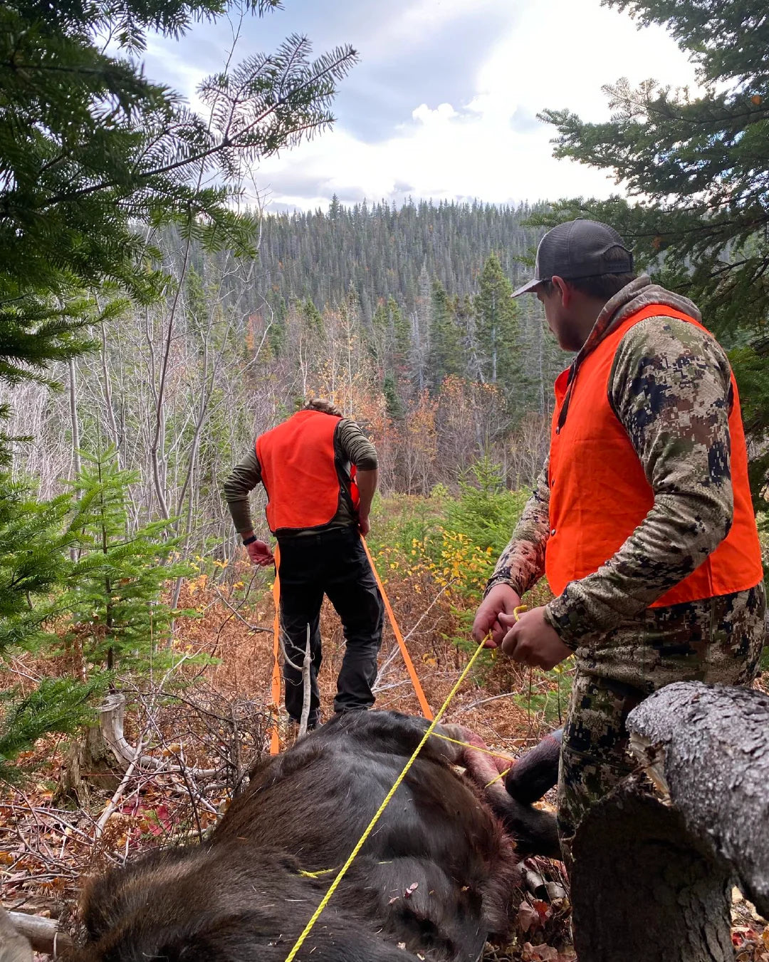 Best Deer Sled Material: HDPE vs HMWPE vs UHMWPE